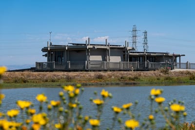 Palo Alto Baylands