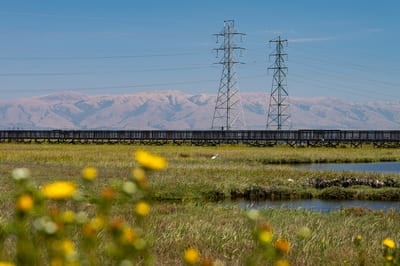 Photographs from Palo Alto Baylands