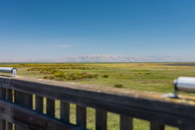 Palo Alto Baylands