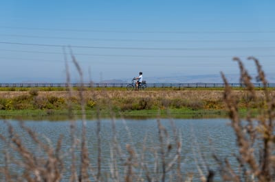 Palo Alto Baylands