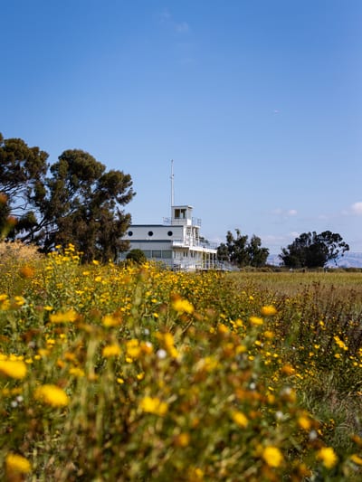 Baylands