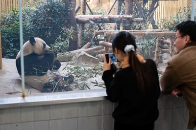 Chengdu
