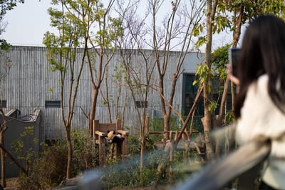 Chengdu