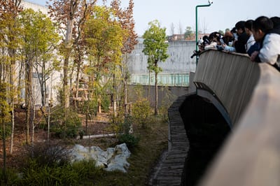 Chengdu