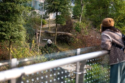 Chengdu