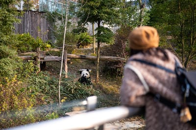 Chengdu
