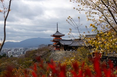 Japan