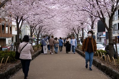 Photographs from Japan