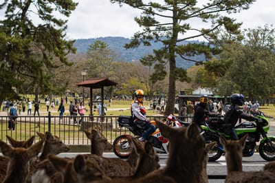 Japan