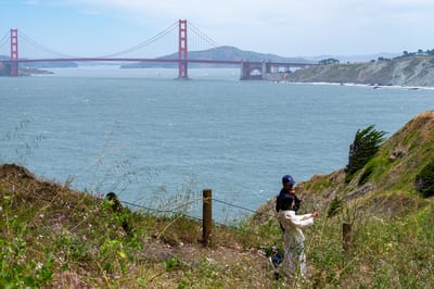 Lands End