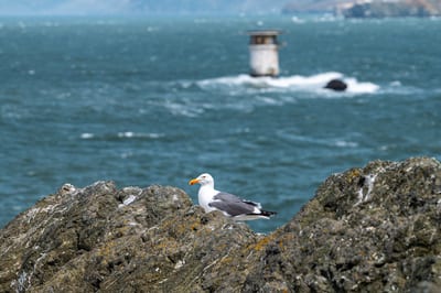 Lands End