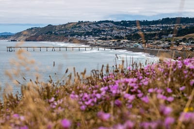 Mori Point
