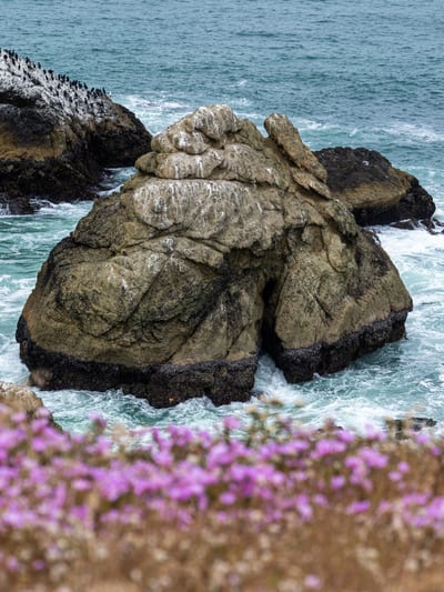 Mori Point