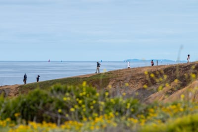 Mori Point