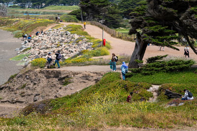 Mori Point