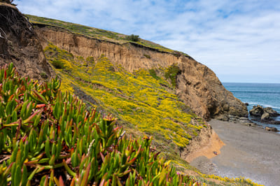 Photographs from Mori Point
