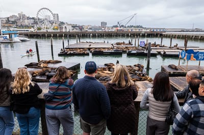 Pier 39 (San Francisco)