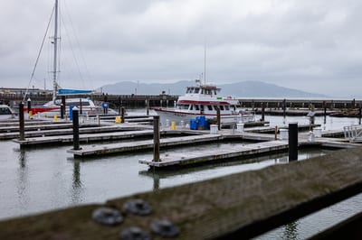 Pier 39 (San Francisco)