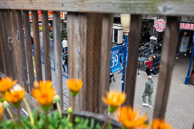 Pier 39 (San Francisco)