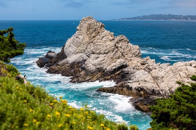 Photographs from Point Lobos