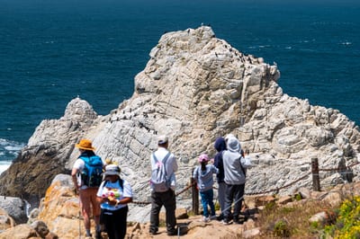 Point Lobos