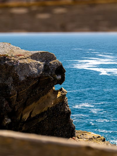 Point Lobos