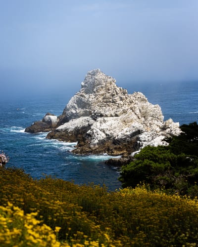 Point Lobos