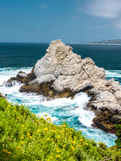 Point Lobos