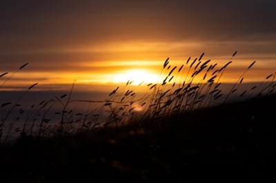 Russian Ridge Sunset