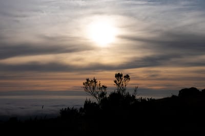 Russian Ridge Sunset