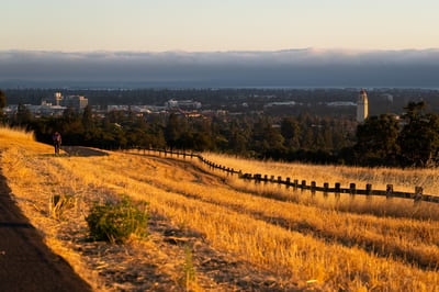 Stanford Dish
