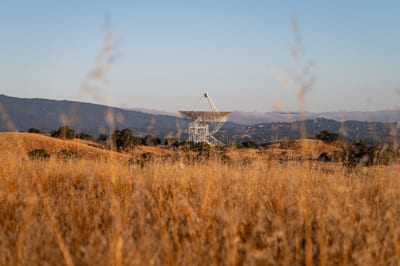 Stanford Dish