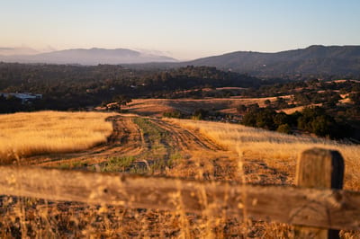 Stanford Dish