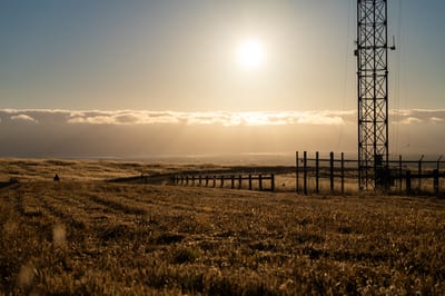 Stanford Dish